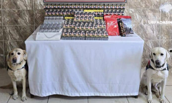 Viranşehir’de Jandarma 5000 Adet Kaçak Sigara Ele Geçirdi