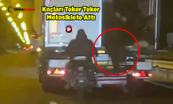 Şanlıurfa Yolunda Seyir Halindeki Tırdan Hayvan Hırsızlığı Kameraya Yansıdı