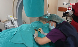 Şanlıurfa'da Kronik Ağrılara Ameliyatsız Yöntemle Tedavi İmkanı