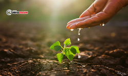 Şanlıurfa'da İklim Değişliği Ekim Takvimini İleriye Attı: Verim Kaybı Kapıda!