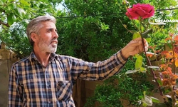 Suruç Aligör Kavşağındaki Kazada Ağır Yaralanan Mehmet Çelik Hayatını Kaybetti