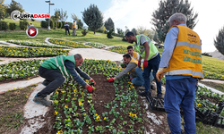 Şanlıurfa'da Özel Yetiştirilen 400 Bin Mevsimlik Çiçek Kenti Süsleyecek