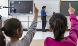 Şanlıurfa'nın Ceylanpınar ve Viranşehir İlçelerinde Tüm Okullar Tatil Edildi