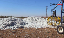 Şanlıurfa’da Uyuduğu Tarlada Üzerine Pamuk Dökülen Kişi Öldü