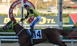 Şanlıurfa Suruçlu Jokeyler Kazanmaya ve Kazandırmaya Devam Ediyor