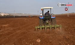 Siverek'te Meyve Bahçeleri Projesinin İkinci Etabı İçin Çalışmalar Başladı