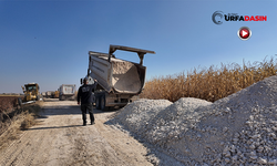 Suruç Kırsalında Yenilenen Yollarla Ulaşım Konforu Artıyor