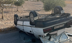 Şanlıurfa Birecik’te Virajı Alamayan Otomobil Takla Attı: 1 Yaralı