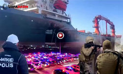 Uluslararası Suç Örgütü Operasyonu Urfa'ya Sıçradı: Çok Sayıda Gözaltı