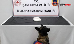 Şanlıurfa’da Metamfetamin Ele Geçirildi: 2 Gözaltı