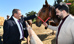 Şanlıurfa Valisi Şıldak, Suruç'un Altından Girdi Üstünden Çıktı