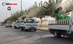 Şanlıurfa’da Vektörle Mücadele 33 Araçla Aralıksız Devam Ediyor
