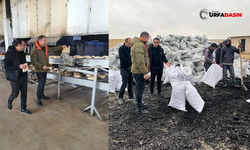 Şanlıurfa İl Müdürü Yılmaz, Rasulayn'daki Sosyal Çalışmalar İnceledi