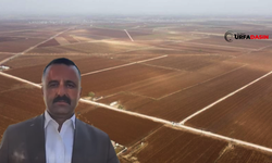 Akçakale Aşağıbeydaş'ta Arazi Toplulaştırmasındaki Mahkeme Kararını İdare Uygulamıyor İddiası