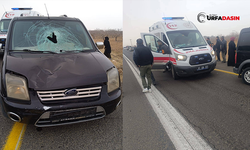 Şanlıurfa'da Aracın Çarptığı Genç Ağır Yaralandı