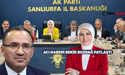 Şanlıurfa'da AK Partili Siyasetçilerin Yakından Tanıdığı Ayşe Sula Köseoğlu'nun Acı Günü