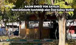 Şanlıurfa Halfeti'de Kamuya Ait Alanın Özel Şahsa Verilmesi Tartışma Yarattı