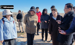 Japonlardan Sonra Çinli Kültür Ve Turizm Heyetinden de Şanlıurfa’ya Günübirlik Ziyaret
