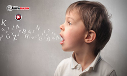 Şanlıurfa'da Uzman, Çocuklarda “Konuşma Gecikmesi”ne Dikkati Çekti