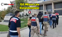 Şanlıurfa'da İnternetten Dolandırıcılık Yapan Suç Örgütüne Operasyon: 31 Tutuklama