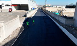 Eyyübiye Akçamescit'te Yürütülen Asfalt Yol Çalışması Tamamlandı