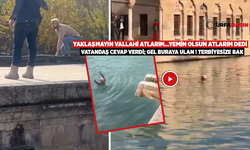 Şanlıurfa'da Adalet Arıyorum Diyen Genç Balıklıgöl'e Atladı