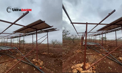 Şanlıurfa'da Bu Da Oldu: Çiftçinin Güneş Panelleri Çalındı