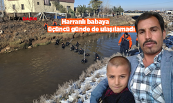 Harranlı Babayı, 3 Gündür 100'den Fazla Personel Aranıyor Ama Bulamıyor