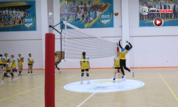 Haliliye’de Gençlere Sunulan Spor Kursları Geleceklerine Kapılar Açıyor