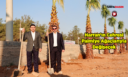 Başkan Özyavuz: Harran'ı Yeniden Yazıyor, Geleceğini Bugünden İnşa Ediyoruz