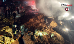 Şanlıurfa'da Besi Çiftliğinde Büyük Yangın