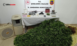 Şanlıurfa Yasa Dışı Silah ve Narkotik Suçlarla Mücadele Operasyonları: 20 Gözaltı