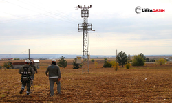 Şanlıurfa’da Kaçak Elektrik Denetimlerinde Bir Haftada 2 Bin 600 Abone Belirlendi