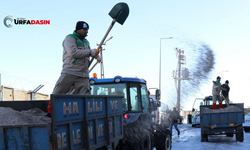 Haliliye'de Kar Mesaisinde Hummalı Çalışma