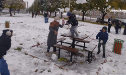 Şanlıurfa'da Karın Keyfini Çocuklar Çıkarıyor