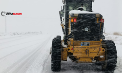 Şanlıurfa Viranşehir Karla Mücadele