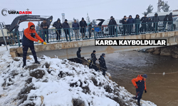 Şanlıurfa'da Baba İle 3 Çocuğun Arama Kurtarma Çalışması Devam Ediyor