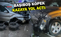 Şanlıurfa Suruç'ta Köpekten Kaçan Sürücü Başka Otomobile Çarptı: 7 Yaralı