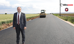 Şanlıurfa Kırsalında 1296 Kilometre Yol Tarihi Yatırımla Yenilendi