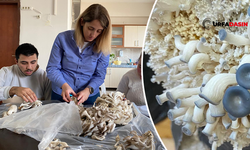 Şanlıurfa’da Özel Öğrenciler, Okulda İstiridye Mantarı Yetiştirdi