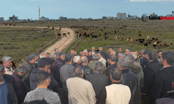 Şanlıurfa'da 3 Köyün Merasına Güneş Enerjisi Panelleri Kurulması Planlanıyor