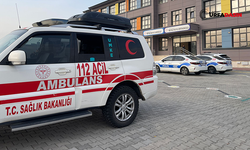 Şanlıurfa'da Okula Ambulans Üstüne Ambulans Sevkedildi