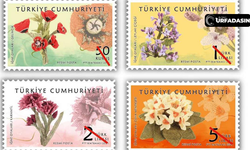 Evinde Bulunduranlar Köşeyi Dönüyor