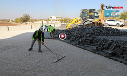 Haliliye’de Şenocak Mahallesi Modernize Ediyor