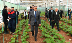 Şanlıurfa Valisi Hasan Şıldak Viranşehir'deki Yatırımları İnceledi