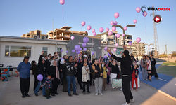 Siverek'te 3 Aralık Dünya Engelliler Günü Etkinliği Gerçekleştirildi