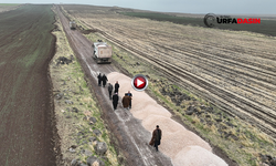 Şanlıurfa'da Karacadağ Bölgesinde Bozuk Yollar Yenileniyor