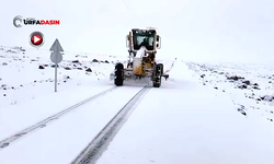 Siverek'te Karla Mücadele Çalışmaları Aralıksız Devam Ediyor