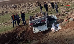 Şanlıurfa'da Otomobil Köprüden Uçup Ters Döndü