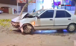 Şanlıurfa'da Otomobil Yol Kenarındaki Ağaca Çarptı: 1 Yaralı
